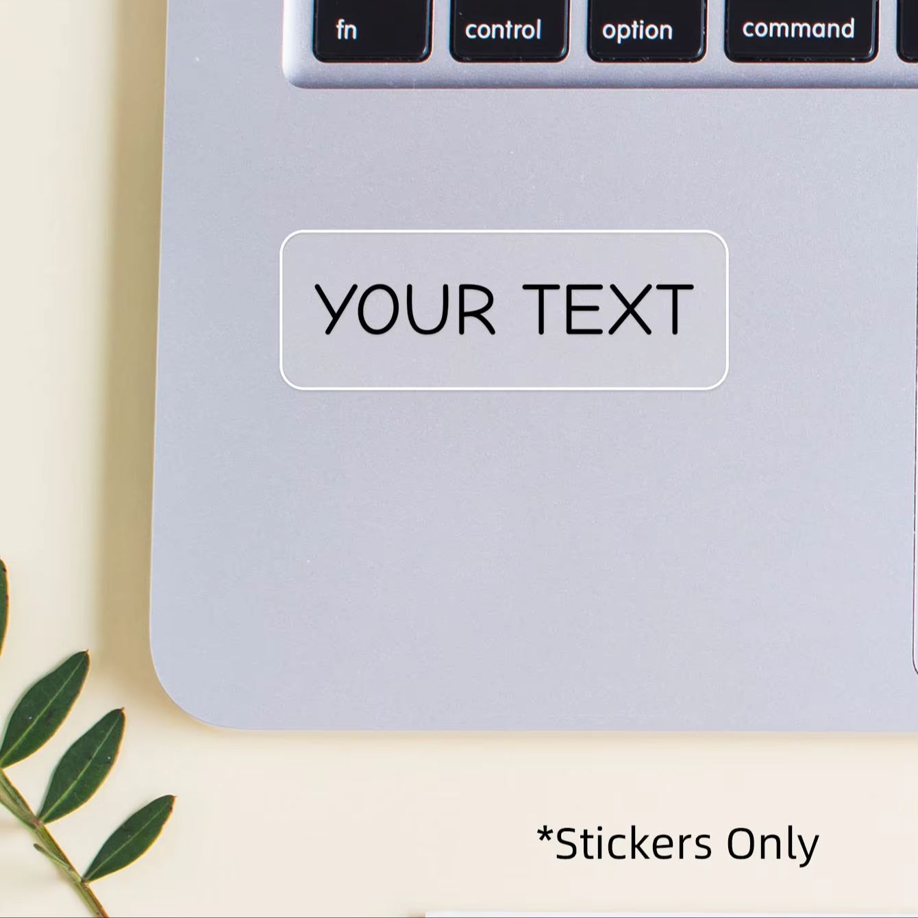 1-300 stuks gepersonaliseerde  - Snack Container Travel recensie en prijs